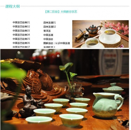 教您怎样品茗 饮食文明初教者茶艺茶讲讲座进门自教视频教程年夜齐