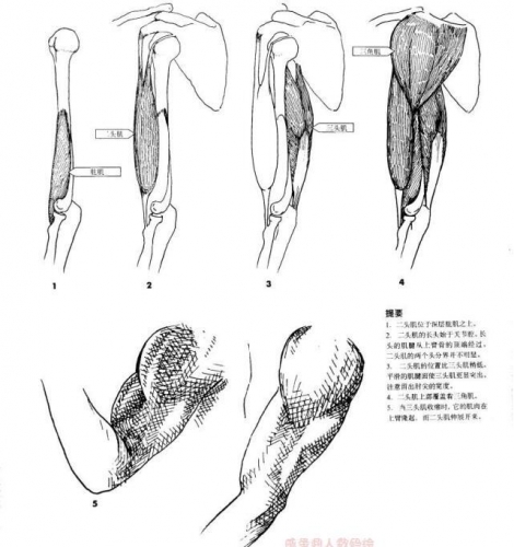 背巨匠进修怎样默写人体 漫绘脚画人体参考素材