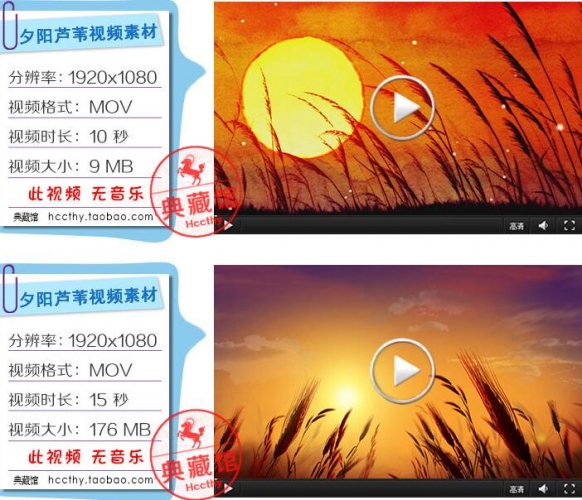 D244落日麦田 春色傍晚 芦苇荡 LED年夜屏幕早会舞台布景 视频素材
