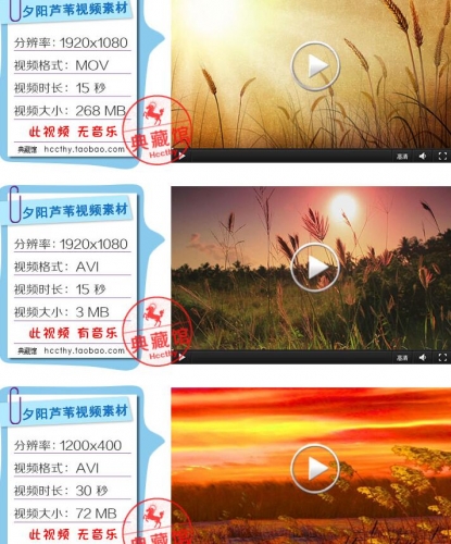 D244落日麦田 春色傍晚 芦苇荡 LED年夜屏幕早会舞台布景 视频素材