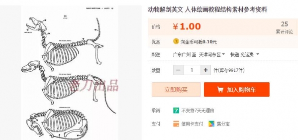 植物剖解英文 人体画绘教程构造素材参考材料