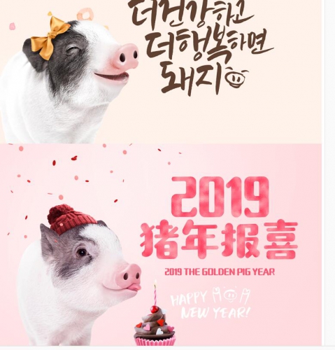 心爱创意金猪年卡通新年2019年宣扬举动海报模板PSD笔墨设想素材