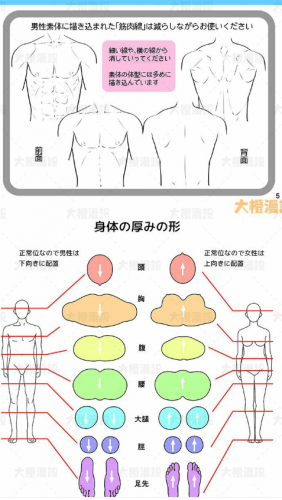 漫绘线稿 讲解姿式散 男女行动外型形状构造画绘速写摹仿参考素材