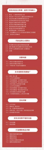 拼多多新人挨制爆款创业课：快速引流连续出单，合用于一切新人