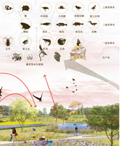 斑斓村落花海公园广场游园景不雅剖里坐里断里阐发图PSD分层结果图