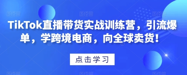 TikTok曲播带货真战锻炼营，引流爆单，教跨境电商，背环球卖货