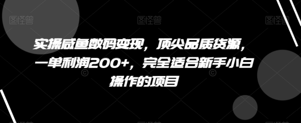 真操咸鱼数码变现，顶尖品格货源，一单利润200+，完整合适新脚小黑操纵的项目【掀秘】