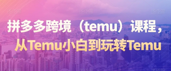 拼多多跨境（temu）课程，从Temu小黑到玩转Temu