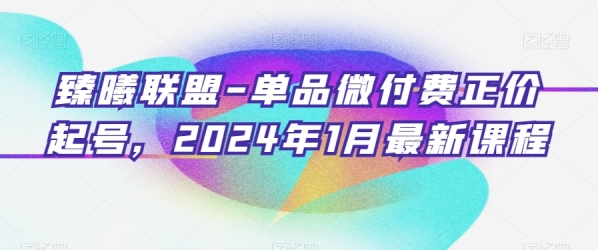 臻曦同盟-单品微付费正价起号，2024年1月最新课程