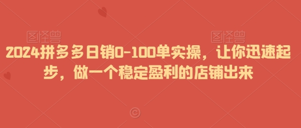 2024拼多多日销0-100单真操，让您疾速起步，做一个不变红利的店肆出去