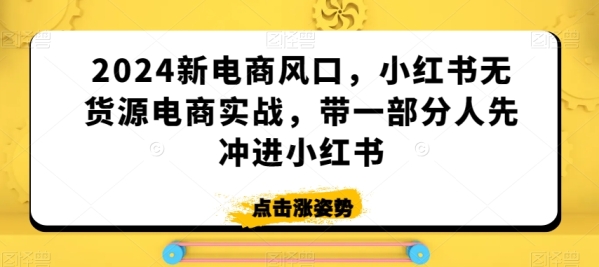 2024新电商风心，小白书无货源电商真战，带一部门人先冲进小白书