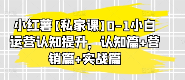 小白薯【私人课】0-1小黑运营认知提拔，认知篇+营销篇+真战篇