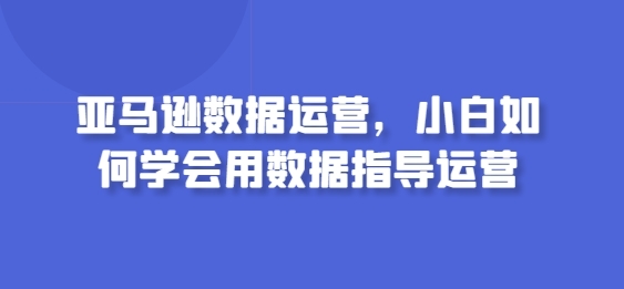 亚马逊数据运营，小黑怎样教会用数据指点运营