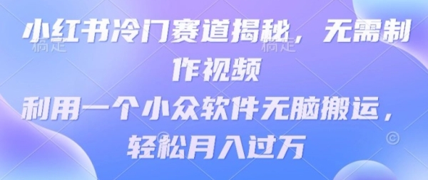 小白书热门赛讲掀秘，无需建造视频，操纵一个小寡硬件无脑搬运，沉紧月进过万