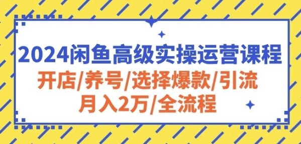 2024忙鱼初级真操运营课程：开店/养号/挑选爆款/引流/月进2万/齐流程