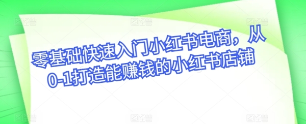 整根底快速进门小白书电商，从0-1挨制能赢利的小白书店肆