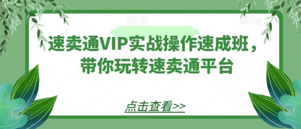 速卖通VIP真战操纵速成班，带您玩转速卖通仄台