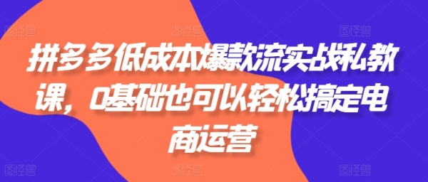 拼多多低本钱爆款流真战公教课，0根底也能够沉紧弄定电商运营