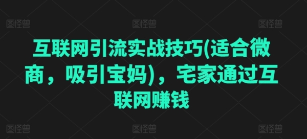 互联网引流真战本领(合适微商，吸收宝妈)，宅家经由过程互联网赢利