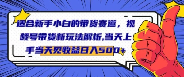 合适新脚小黑的带货赛讲，视频号带货新弄法剖析，当天上脚当天睹支益，日进500+