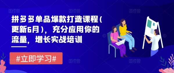 拼多多单品爆款挨制课程(更新6月)，充实使用您的流量，增加真战培训